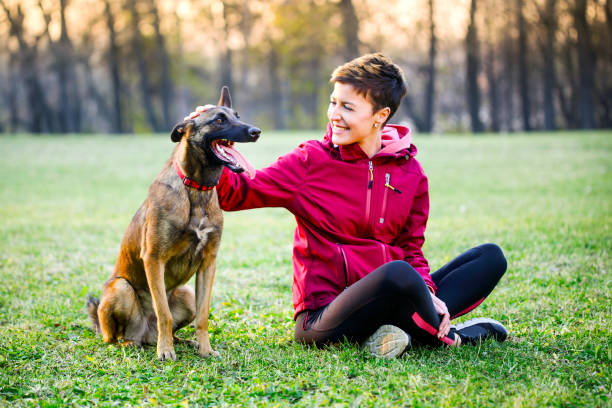 A malinois getting pet by a smiling woman